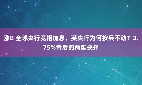 涨8 全球央行竞相加息，英央行为何按兵不动？3.75%背后的两难抉择
