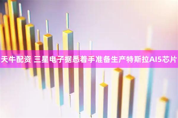 天牛配资 三星电子据悉着手准备生产特斯拉AI5芯片