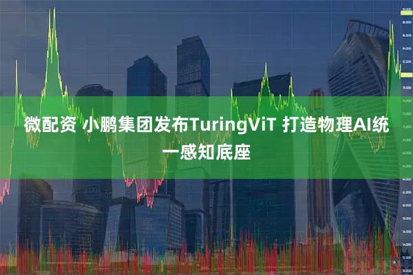 微配资 小鹏集团发布TuringViT 打造物理AI统一感知底座