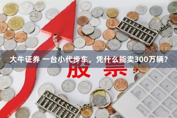 大牛证券 一台小代步车，凭什么能卖300万辆？